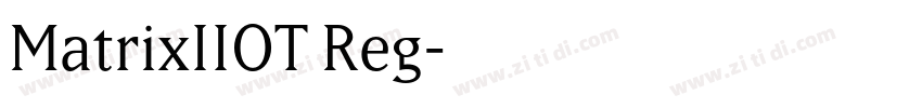 MatrixIIOT Reg字体转换